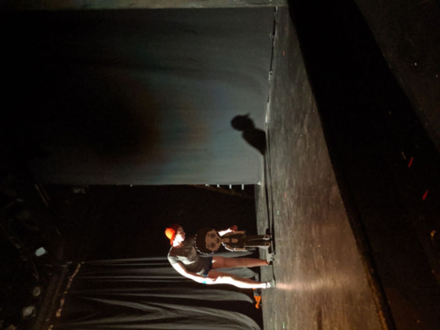 Photo Flash: First Look at MAHOGANY BROWN AT THE CASE OF THE DISAPPEARING KID at The Tank Photo Flash: First Look at MAHOGANY BROWN AT THE CASE OF THE DISAPPEARING KID at The Tank Image