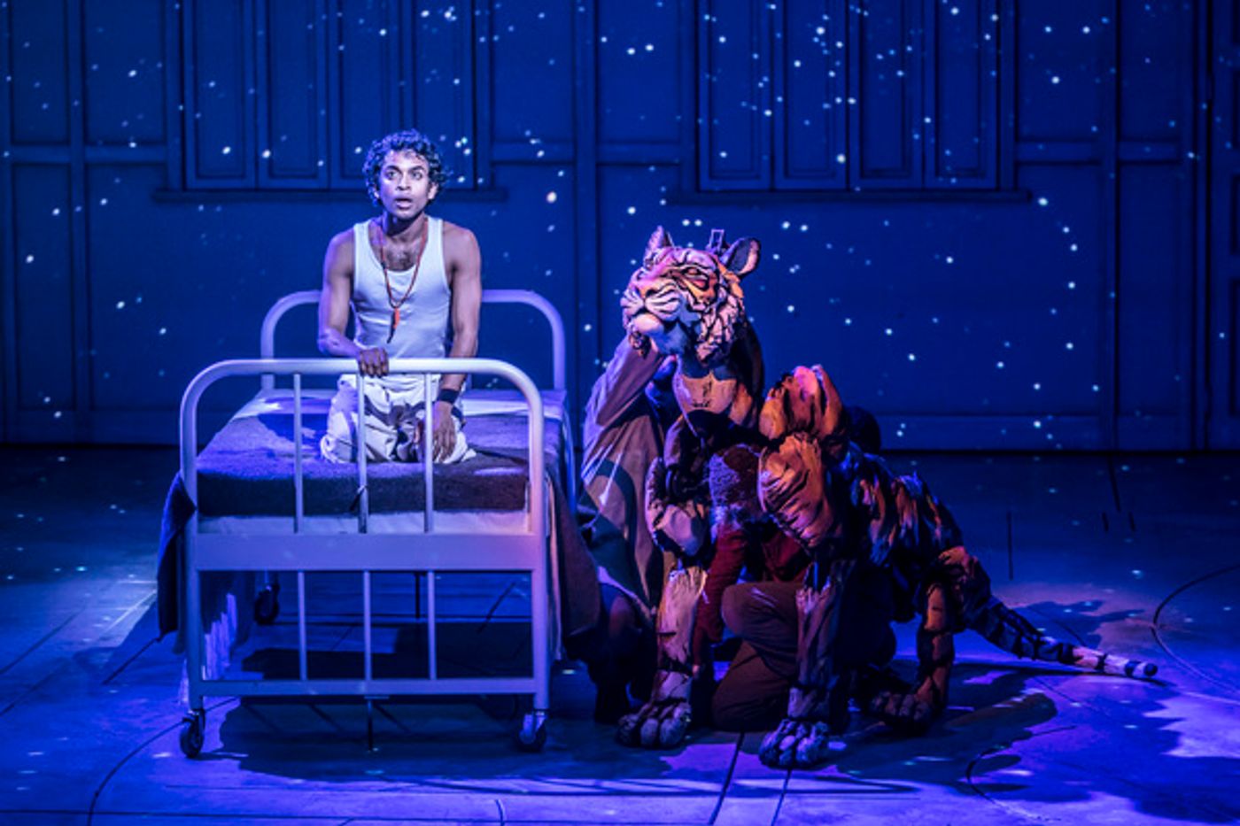 Photo Flash: First Look at LIFE OF PI at Sheffield Theatres  Image