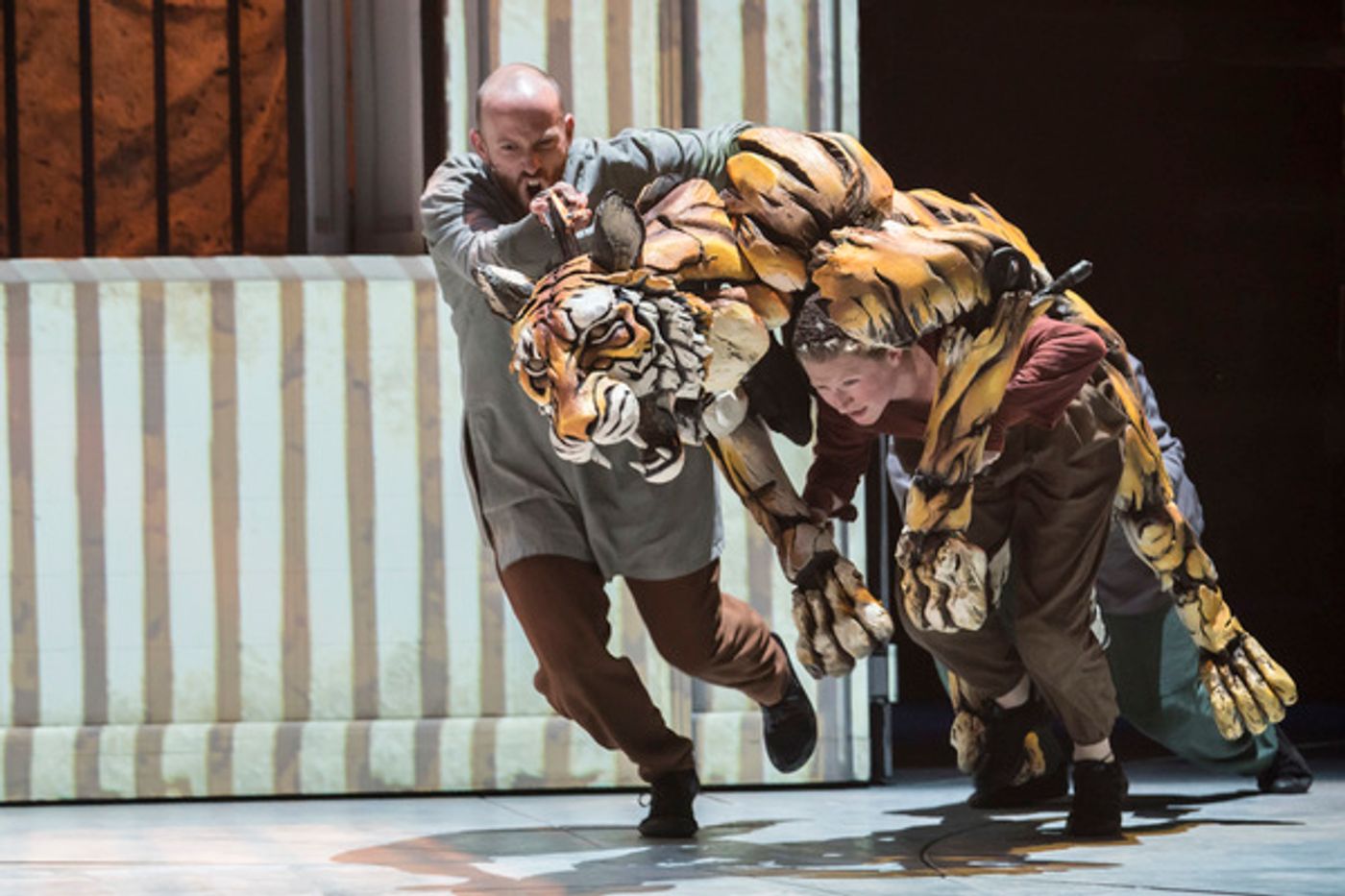 Photo Flash: First Look at LIFE OF PI at Sheffield Theatres  Image