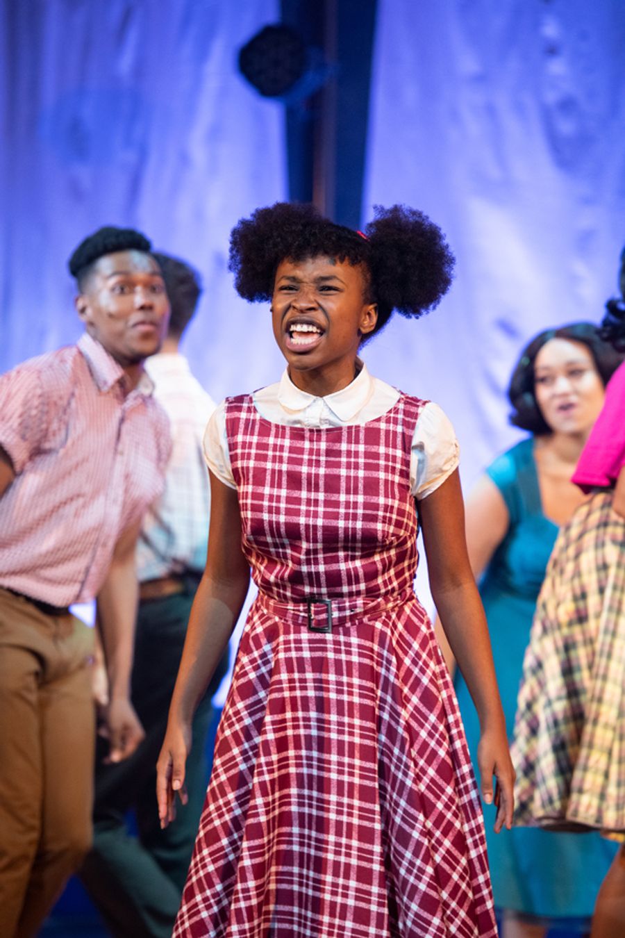 Photo Flash: Bay Area Musicals Welcomes The 60's With HAIRSPRAY! Image