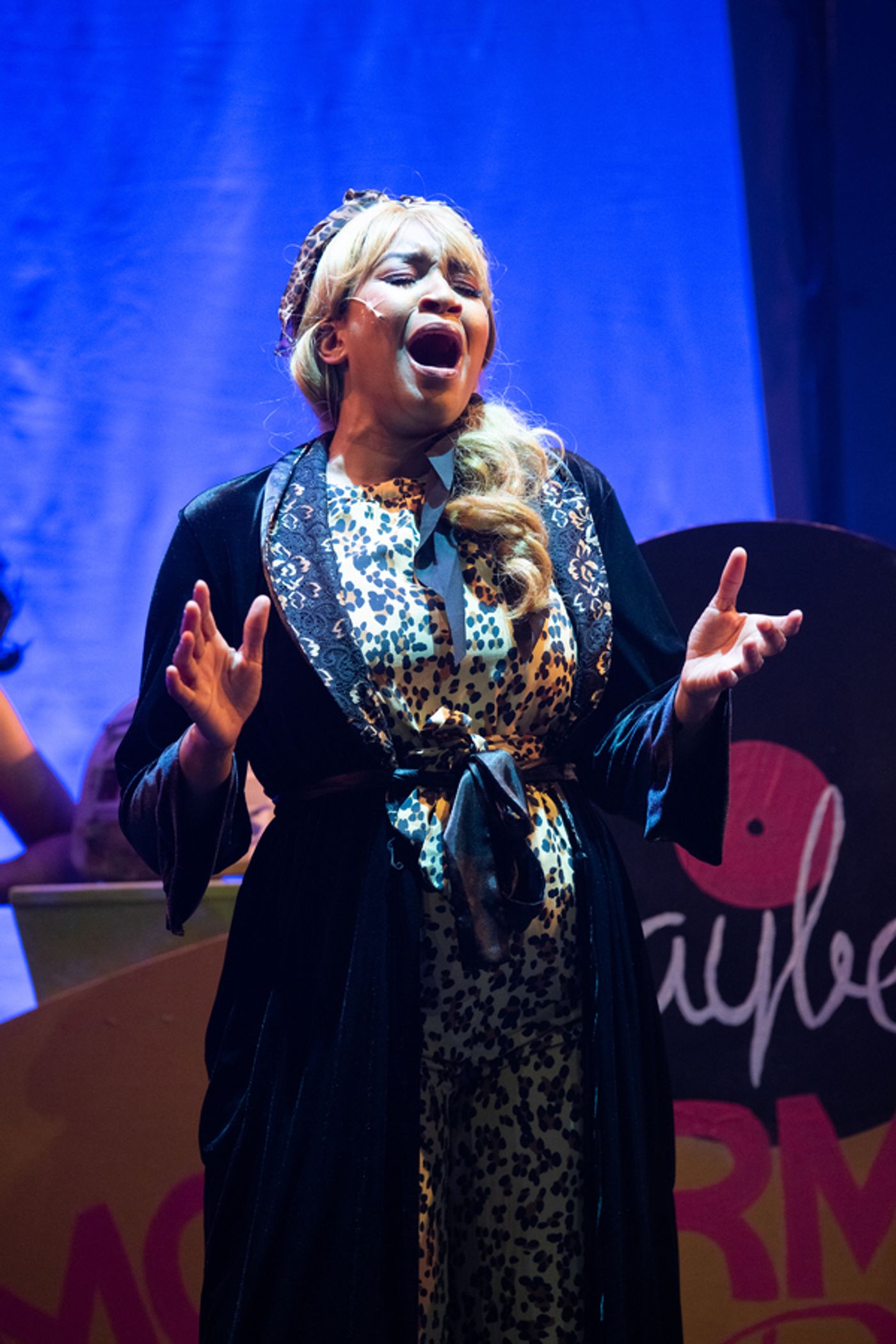 Photo Flash: Bay Area Musicals Welcomes The 60's With HAIRSPRAY!  Image