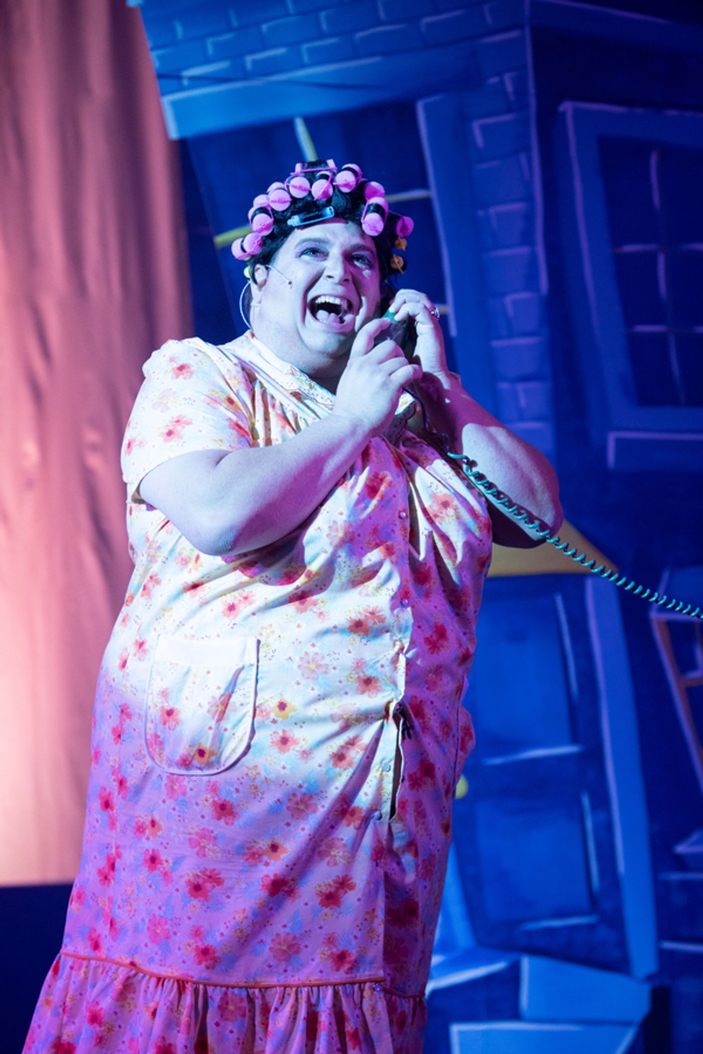 Photo Flash: Bay Area Musicals Welcomes The 60's With HAIRSPRAY!  Image