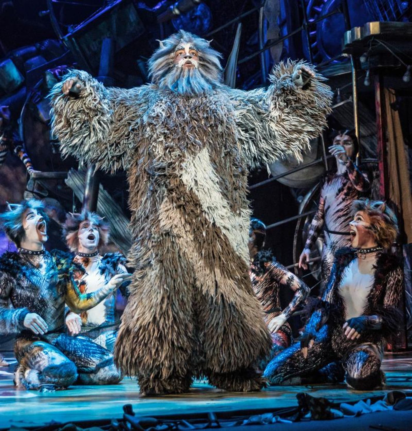 Review: CATS at Starlight Theatre  Image