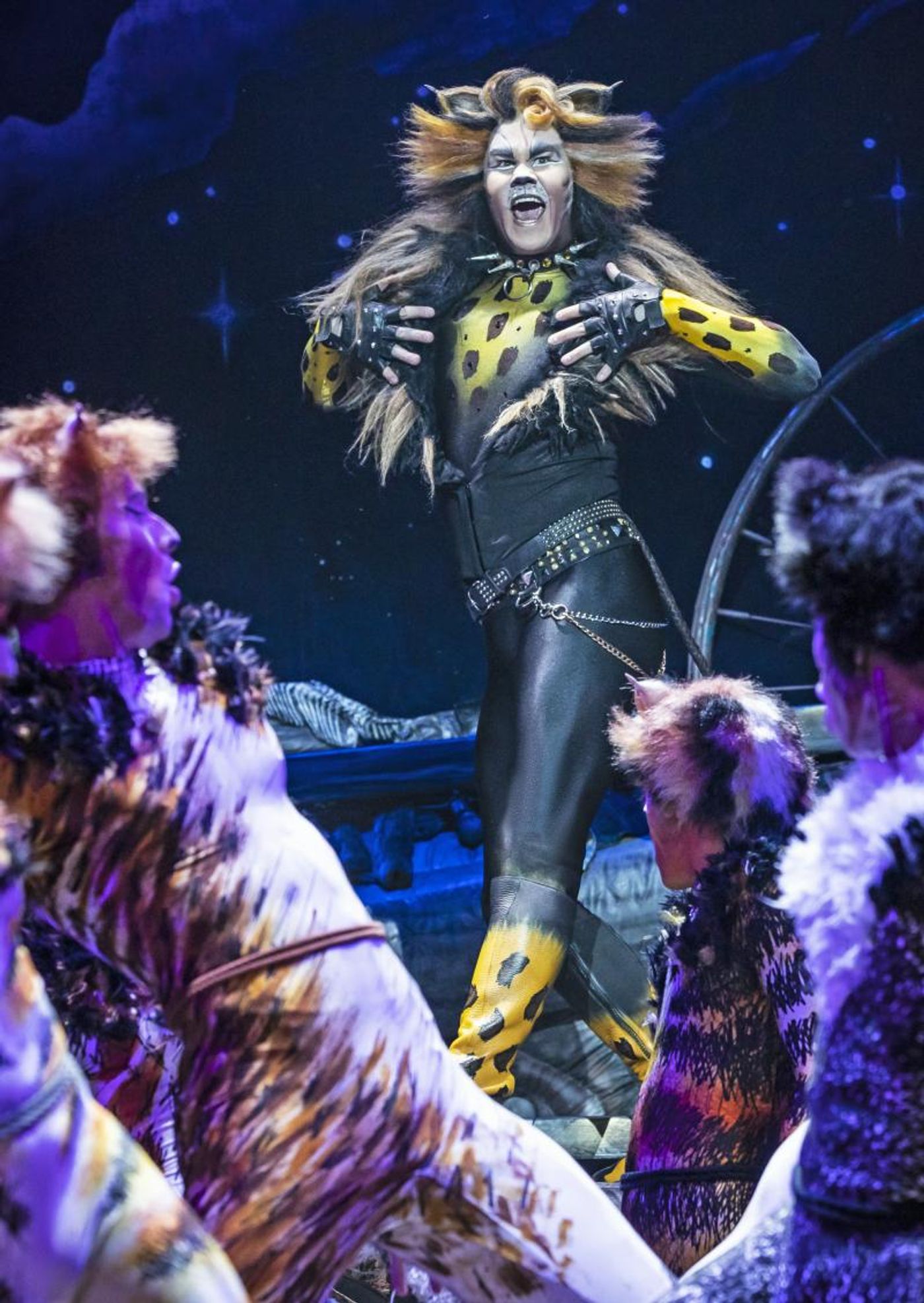 Review: CATS at Starlight Theatre  Image