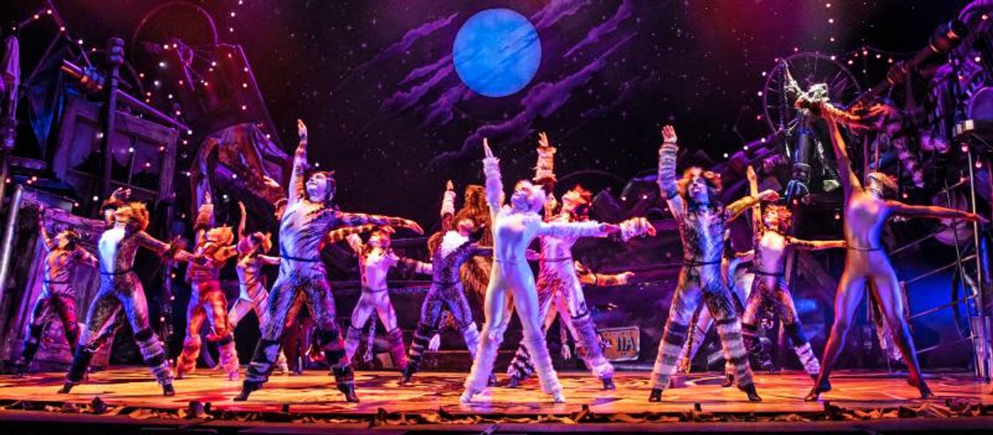Review: CATS at Starlight Theatre  Image