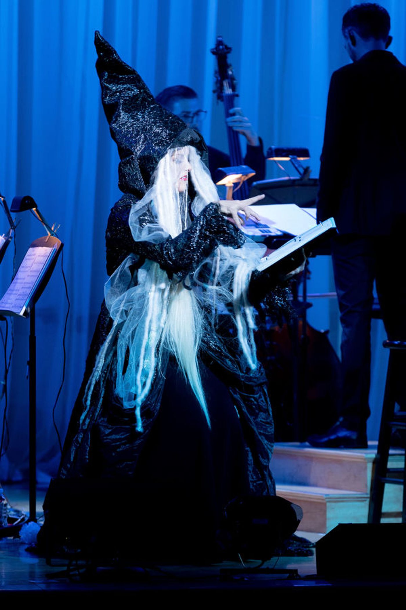 Photo Flash: Head INTO THE WOODS with the Starry Cast of the Town Hall Concert  Image