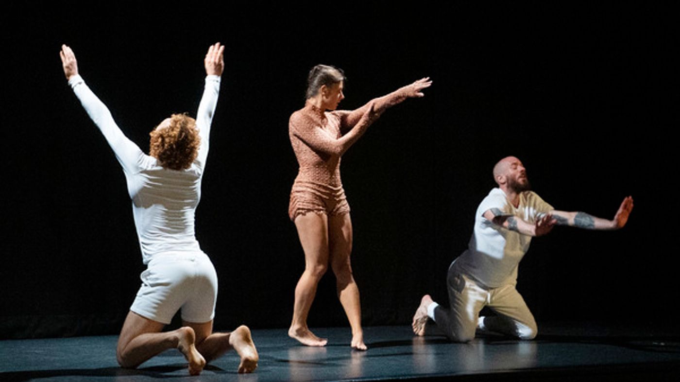 Photo Flash: London Welcomes FRANCEDANCEUK  Image