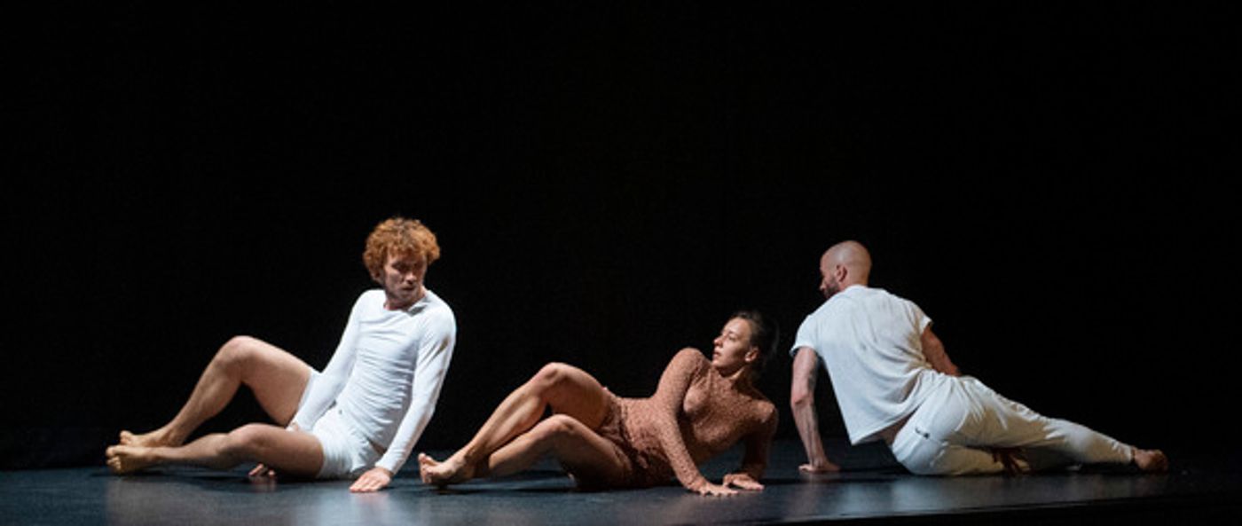 Photo Flash: London Welcomes FRANCEDANCEUK  Image