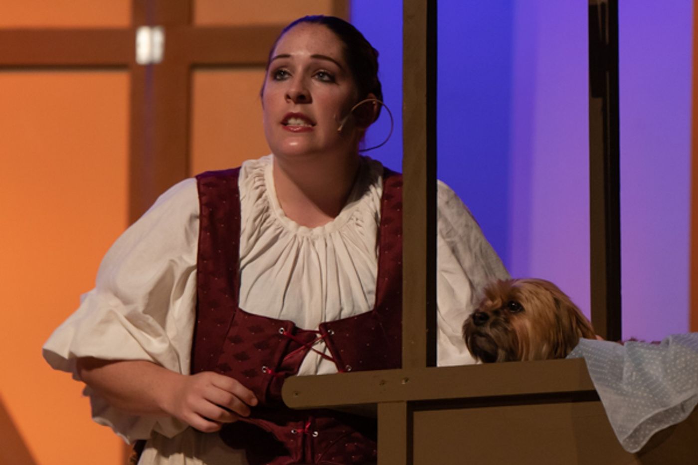 Photo Coverage: First look at Grandview Carriage Place Players' THE SLIPPER AND THE ROSE  Image