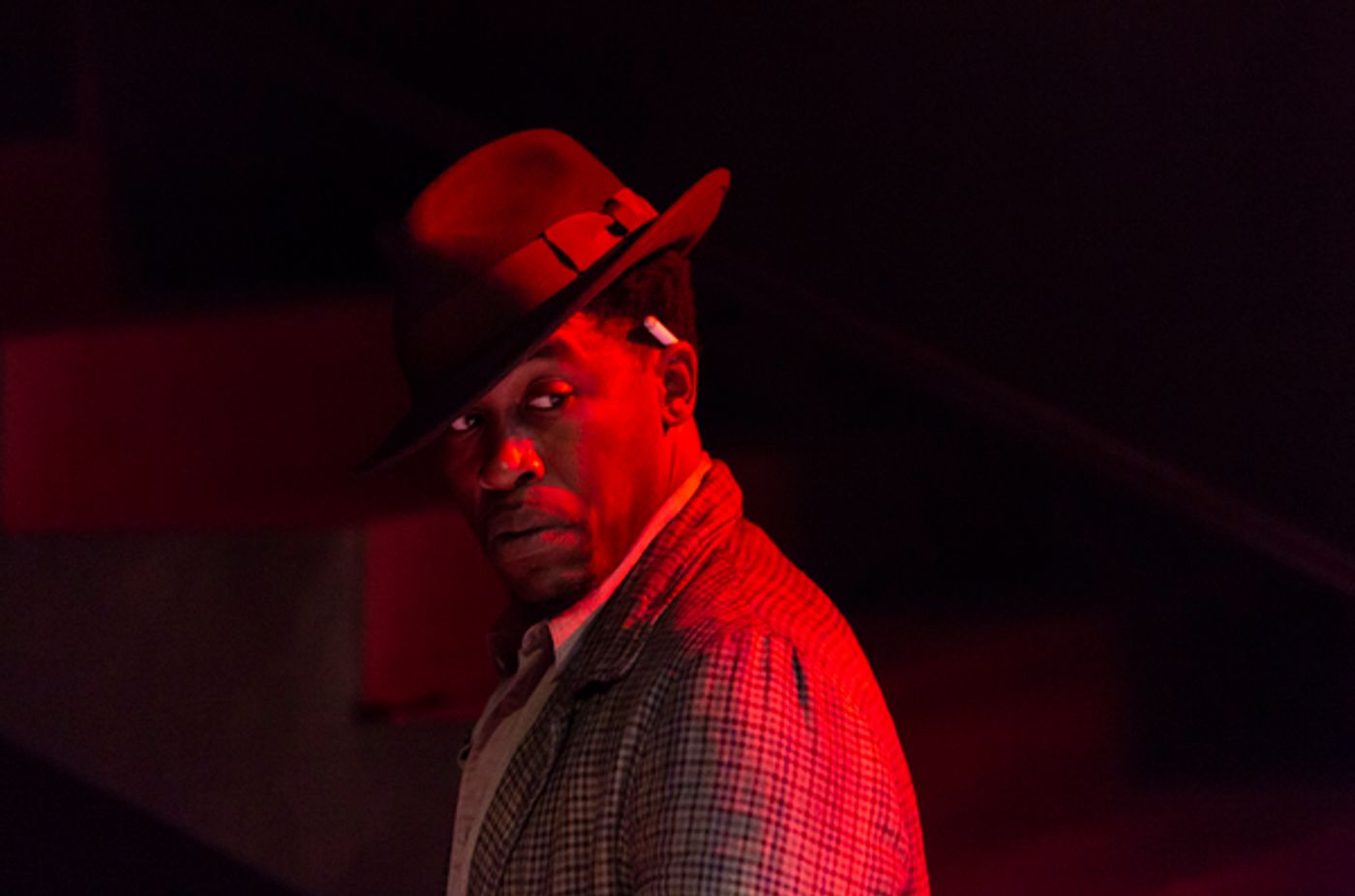 Photo Flash: The Acting Company Present NATIVE SON  Image