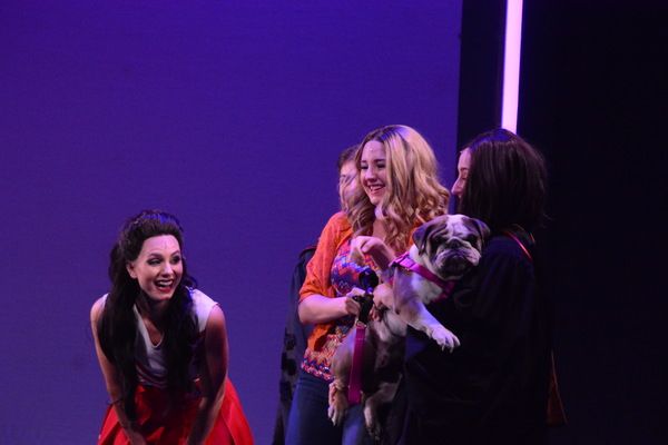 Photos: LEGALLY BLONDE Opens at The Argyle Theatre — photo 14 of 53
