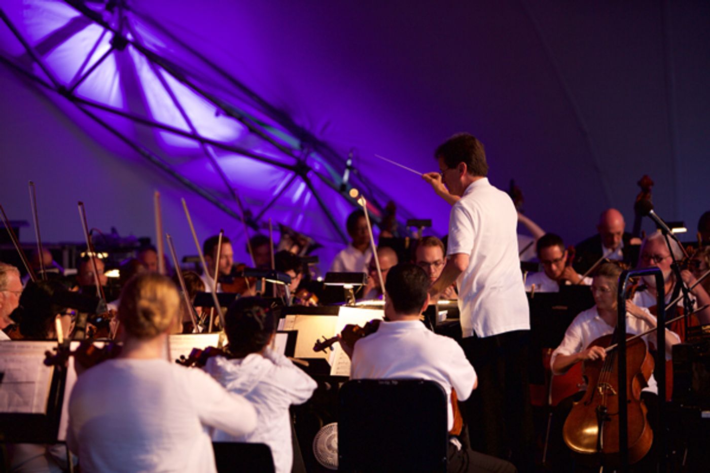 Review: PICNIC POPS SALUTE TO AMERICA! at Grand Rapids Symphony  Image