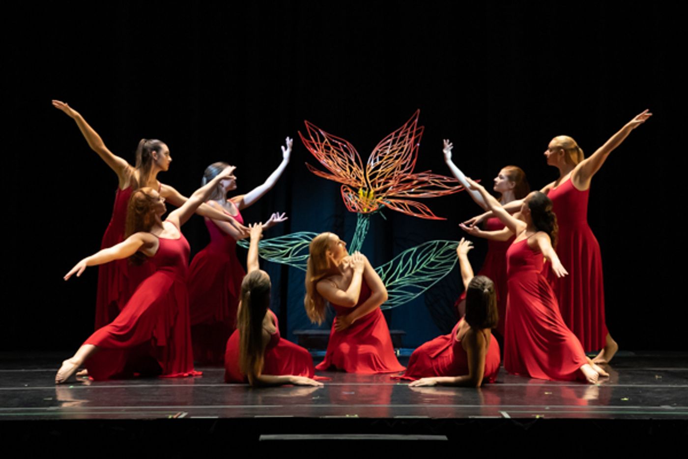 Photo Coverage: Inside New Vision Dance Co.'s FULL BLOOM  Image