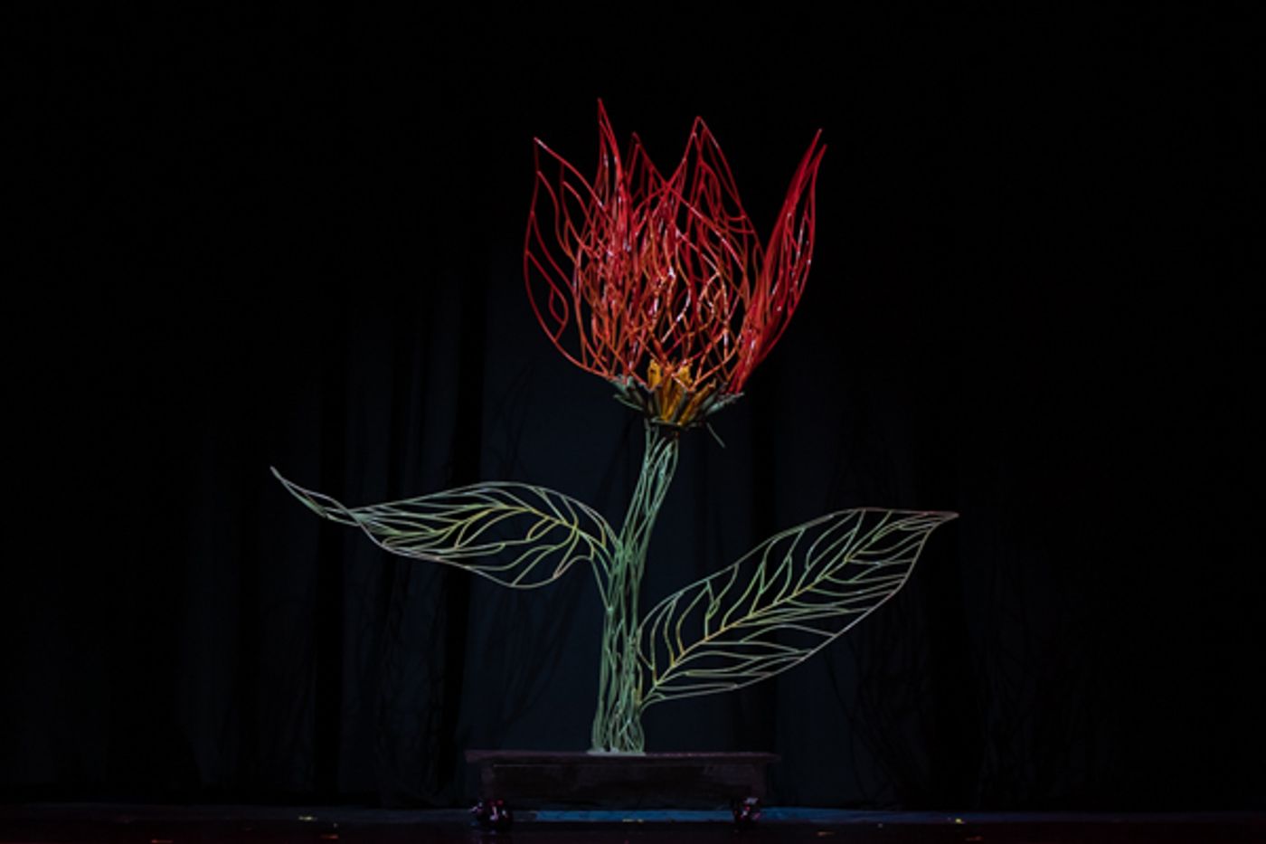 Photo Coverage: Inside New Vision Dance Co.'s FULL BLOOM  Image
