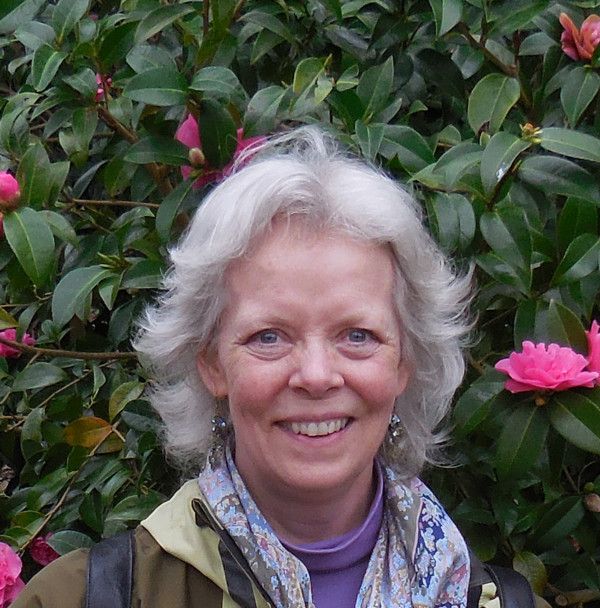 Suzanne Young Photo