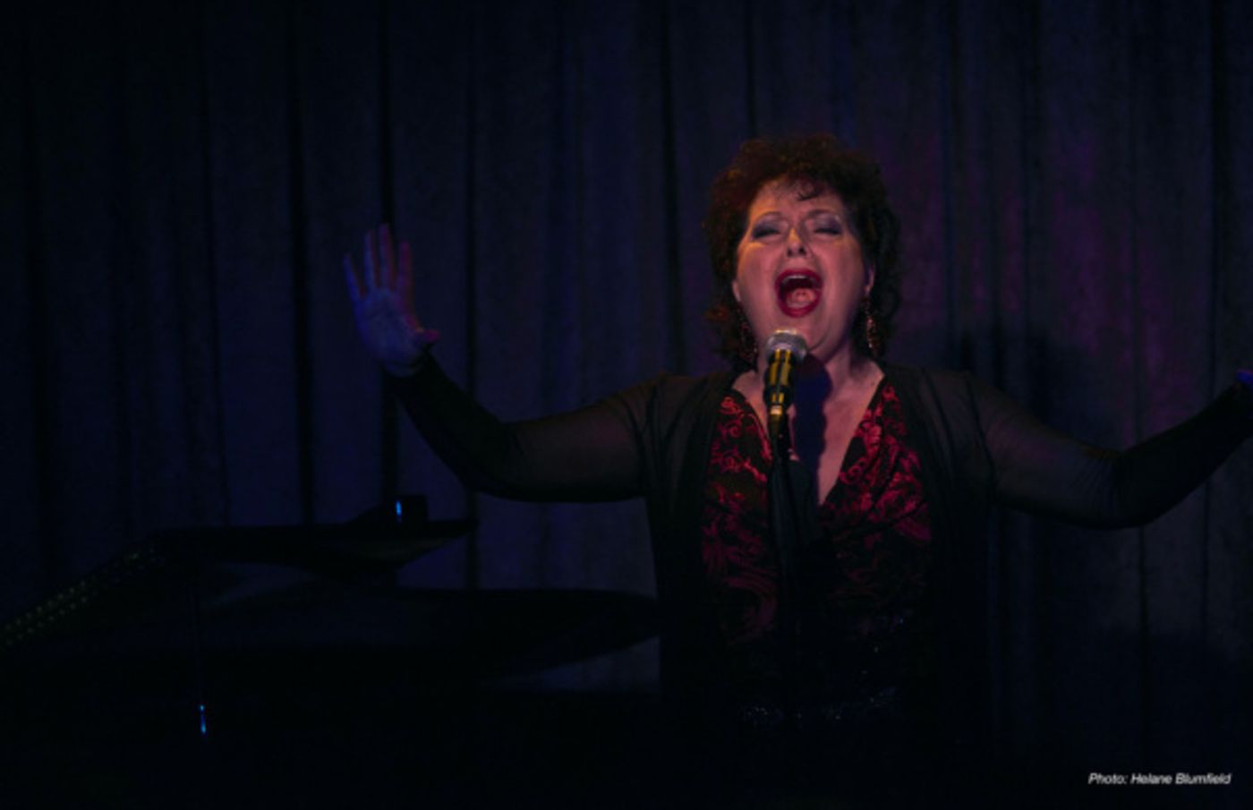 Photo Flash: Inside Meg Flather's SONGS~A Cabaret Sisterhood At Don't Tell Mama  Image
