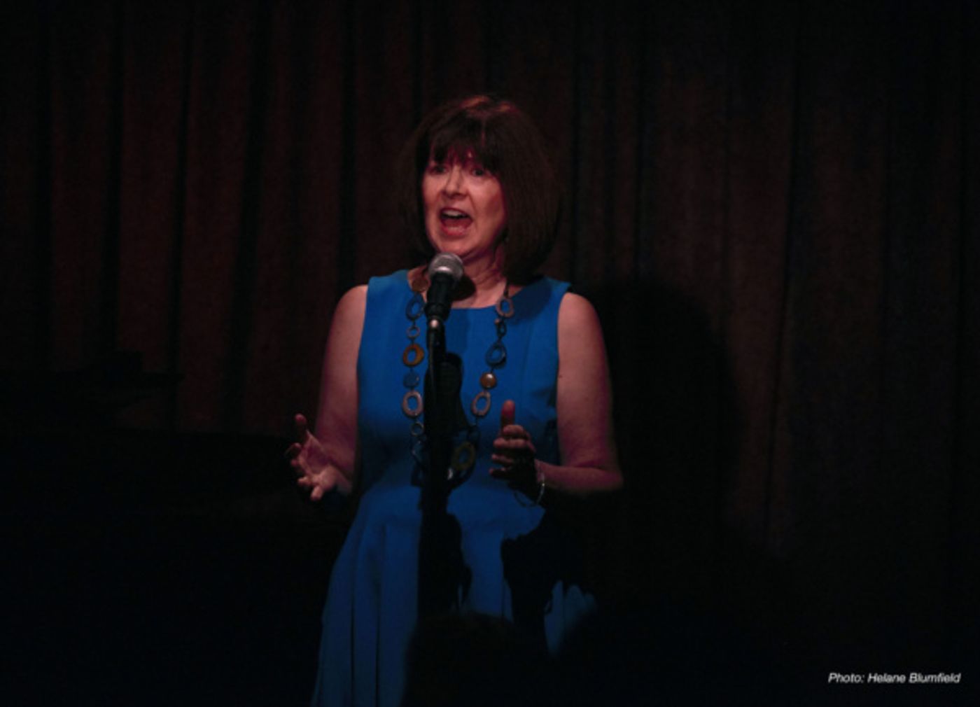 Photo Flash: Inside Meg Flather's SONGS~A Cabaret Sisterhood At Don't Tell Mama  Image