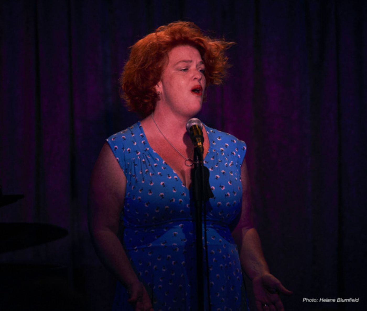 Photo Flash: Inside Meg Flather's SONGS~A Cabaret Sisterhood At Don't Tell Mama  Image