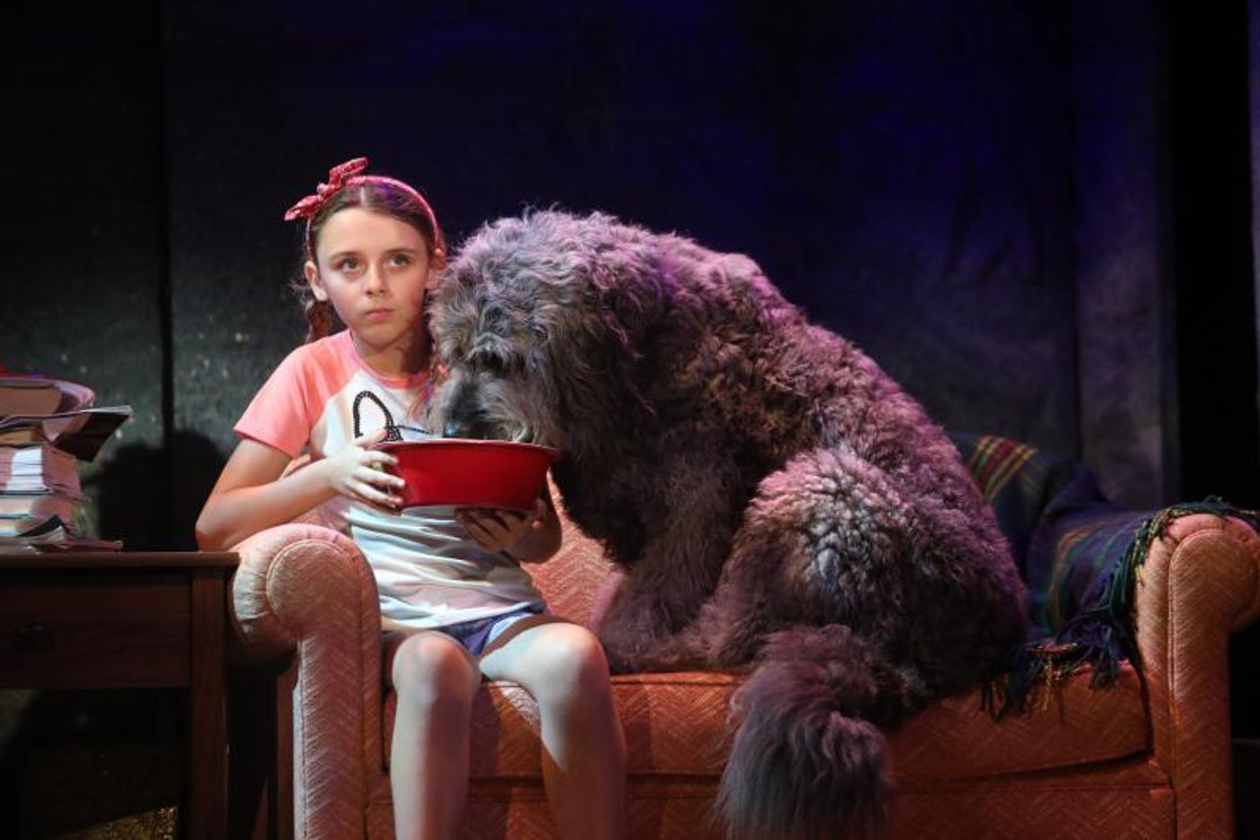 Review: BECAUSE OF WINN DIXIE at GoodspeedOpera House  Image