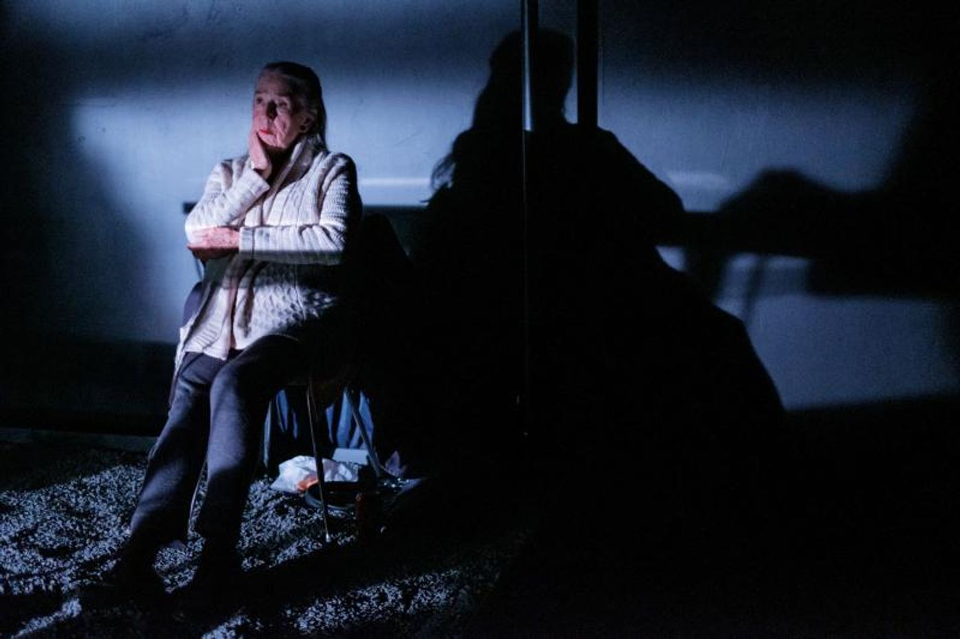 Review: The Honest, Humorous and Heartbreaking World Premiere of OMAR AND DAWN Explores A Side Of Society Rarely Examined  Image