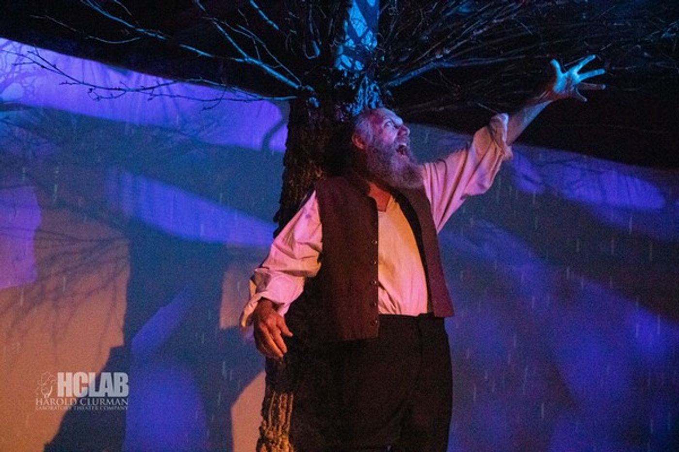 Photo Flash: First Look at KING LEAR at Harold Clurman Laboratory Theater at the Art of Acting Studio  Image