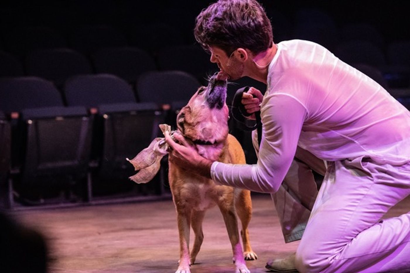 Photo Flash: Get A First Look At PIPPIN At Ephrata Performing Arts Center Photo Flash: Get A First Look At PIPPIN At Ephrata Performing Arts Center Image