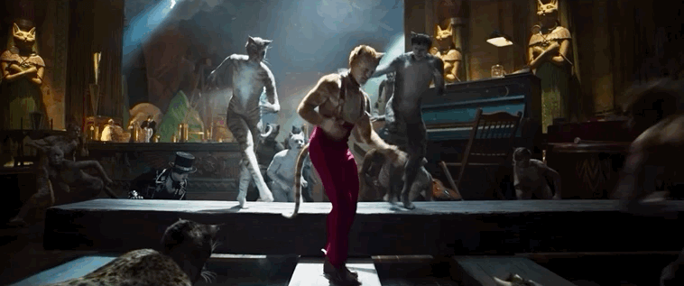 What Is CATS About? Everything You Need To Know About Andrew Lloyd Webber's Hit Musical  Image