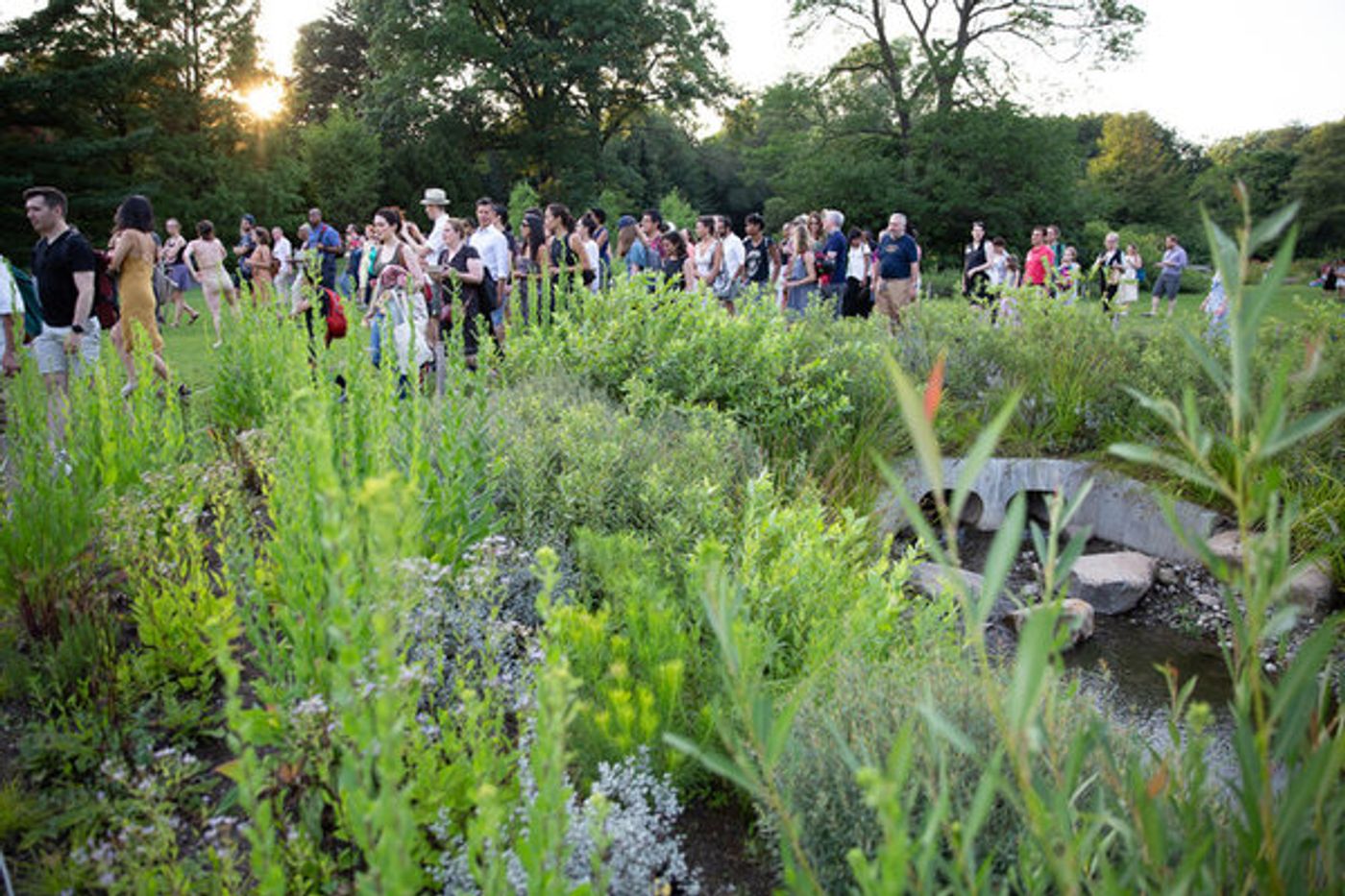 Review: ERYC TAYLOR DANCE'S Immersive EARTH Breaks New Ground at Brooklyn Botanic Gardens  Image