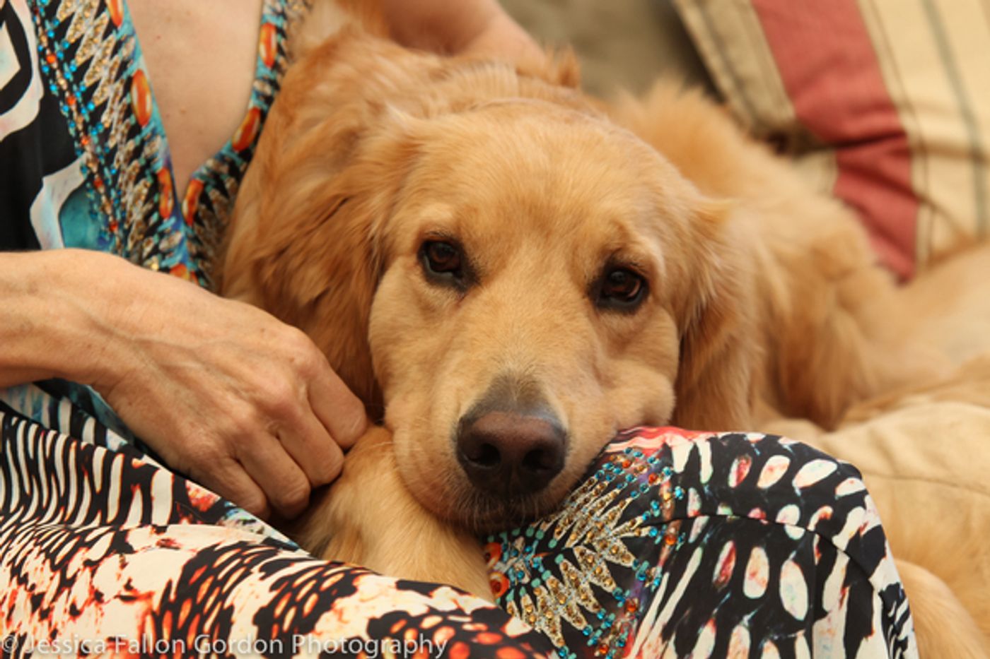 Tails of Broadway: Victoria Clark Acts Up with Sir Laurence Olivier!  Image