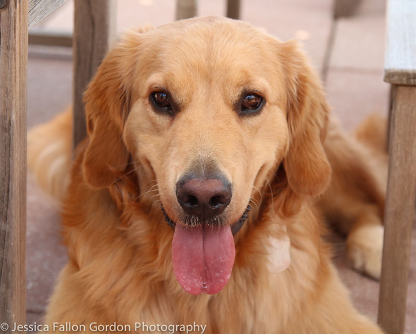 Tails of Broadway: Victoria Clark Acts Up with Sir Laurence Olivier!  Image