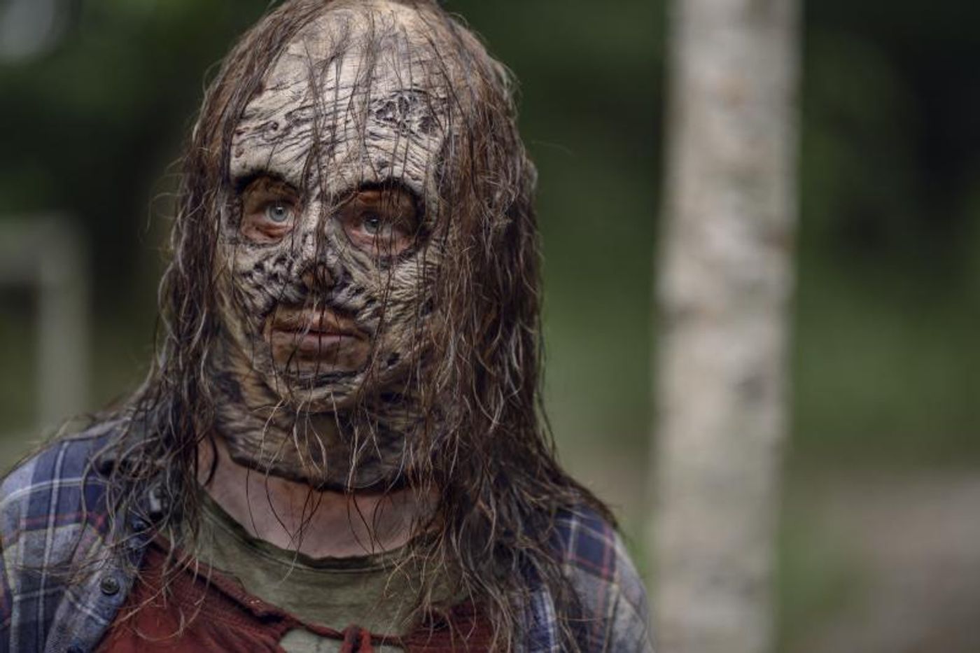 AMC Announces Kick Off of TWD X REVEALS  Image