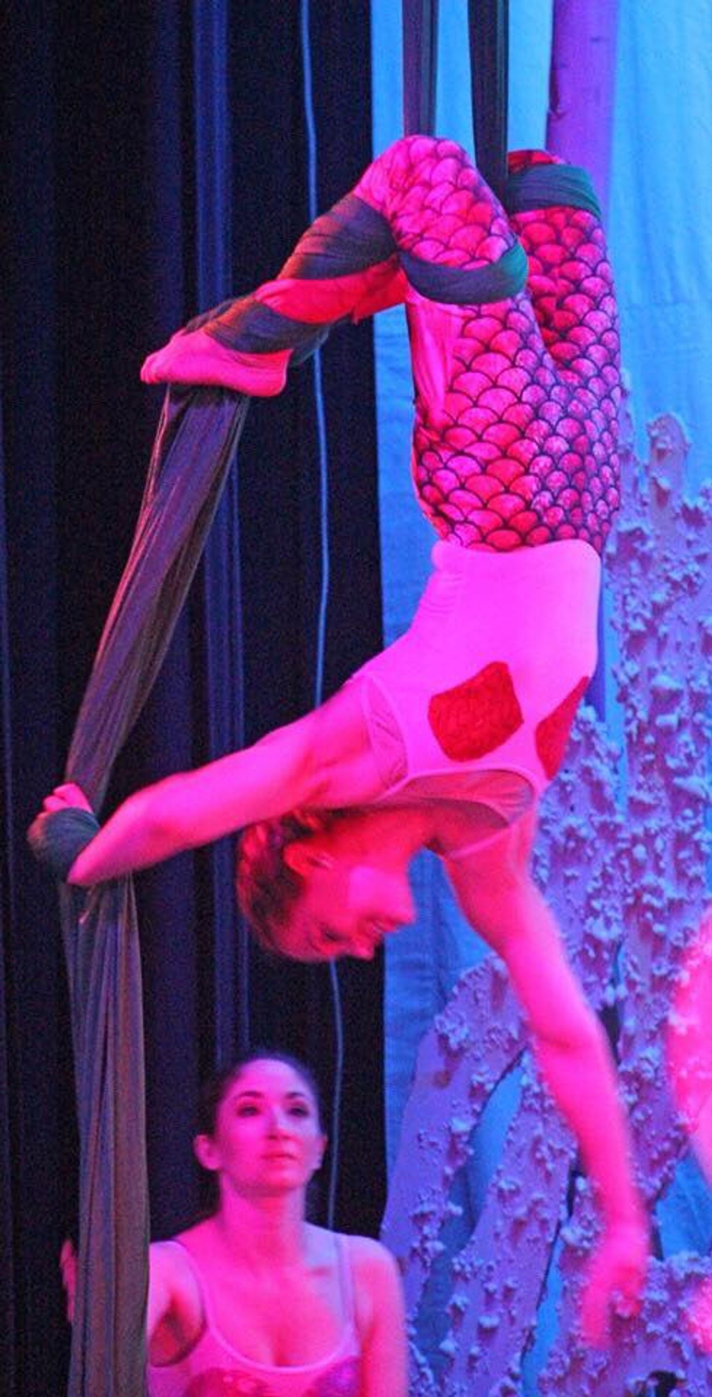 BWW Previews: NEW TAMPA PLAYER'S THE LITTLE MERMAID IS A CIRQUE TWIST ON A DISNEY CLASSIC at University Area CDC  Image