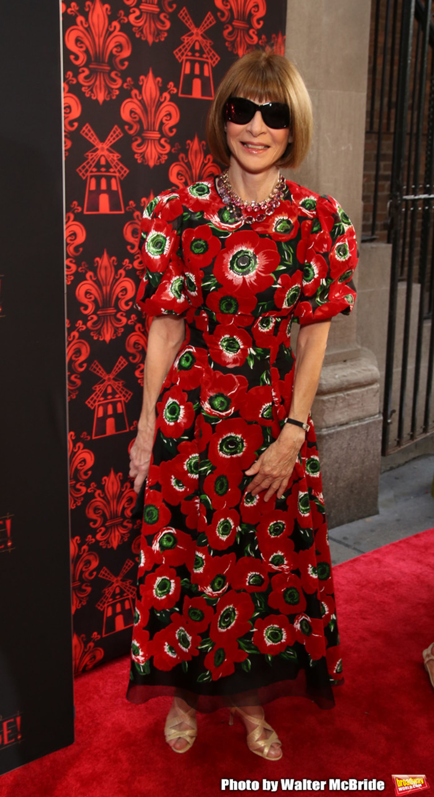 Photo Coverage: On the Opening Night Red Carpet for MOULIN ROUGE!  Image