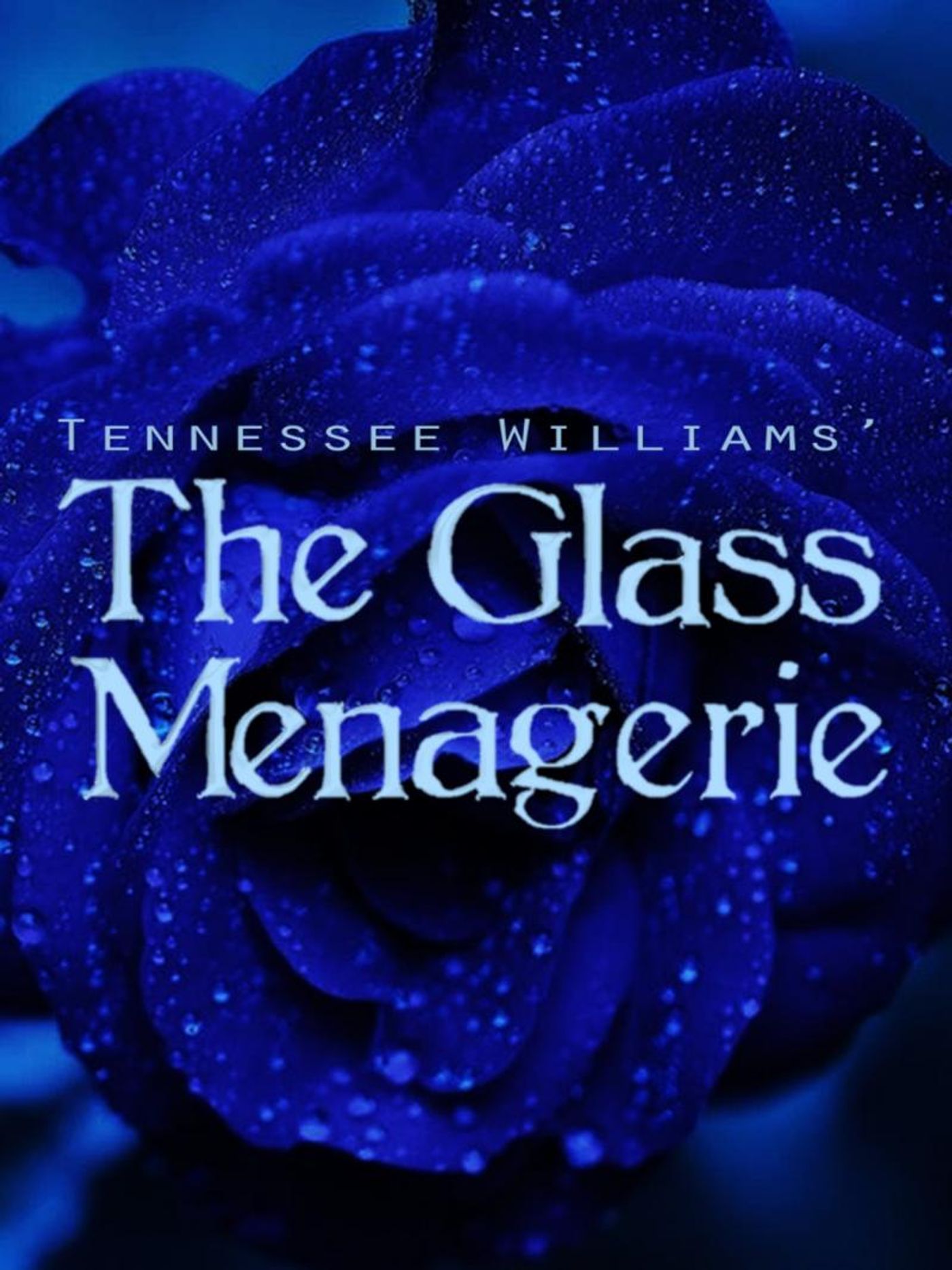 THE GLASS MENAGERIE Comes To Theater 29  Image
