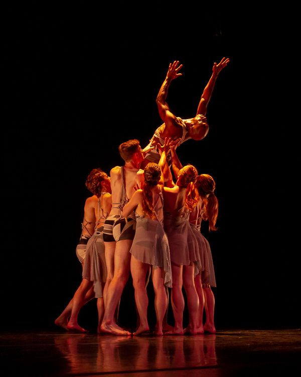 Carolyn Dorfman Dance 