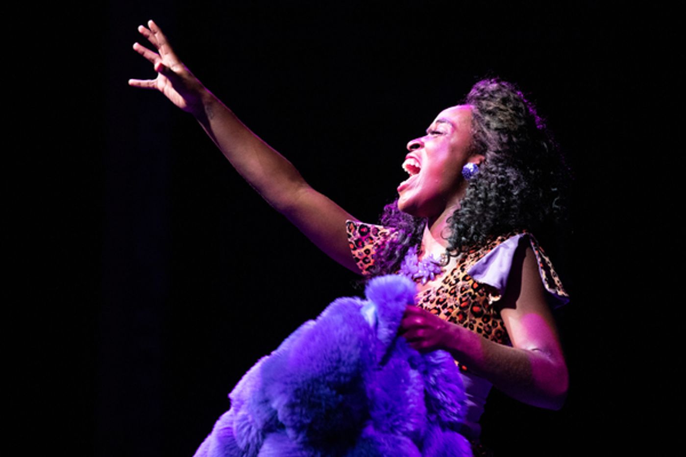 Photo Flash: SISTER ACT At Arizona Broadway Theatre Is Fabulous Baby!  Image