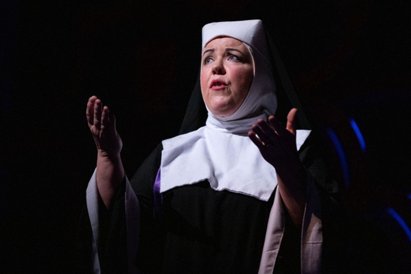 Photo Flash: SISTER ACT At Arizona Broadway Theatre Is Fabulous Baby!  Image