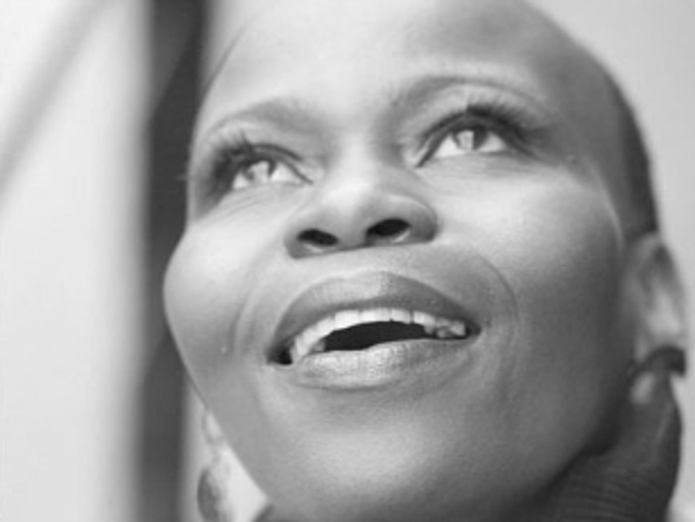 Meet The Current Cast of Creatures In THE LION KING On Broadway  Image