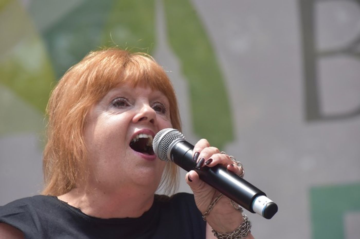 Photo Flash: THE PROM, THE CHER SHOW, BROADWAY BOUNTY HUNTER, And More Perform At Broadway in Bryant Park  Image