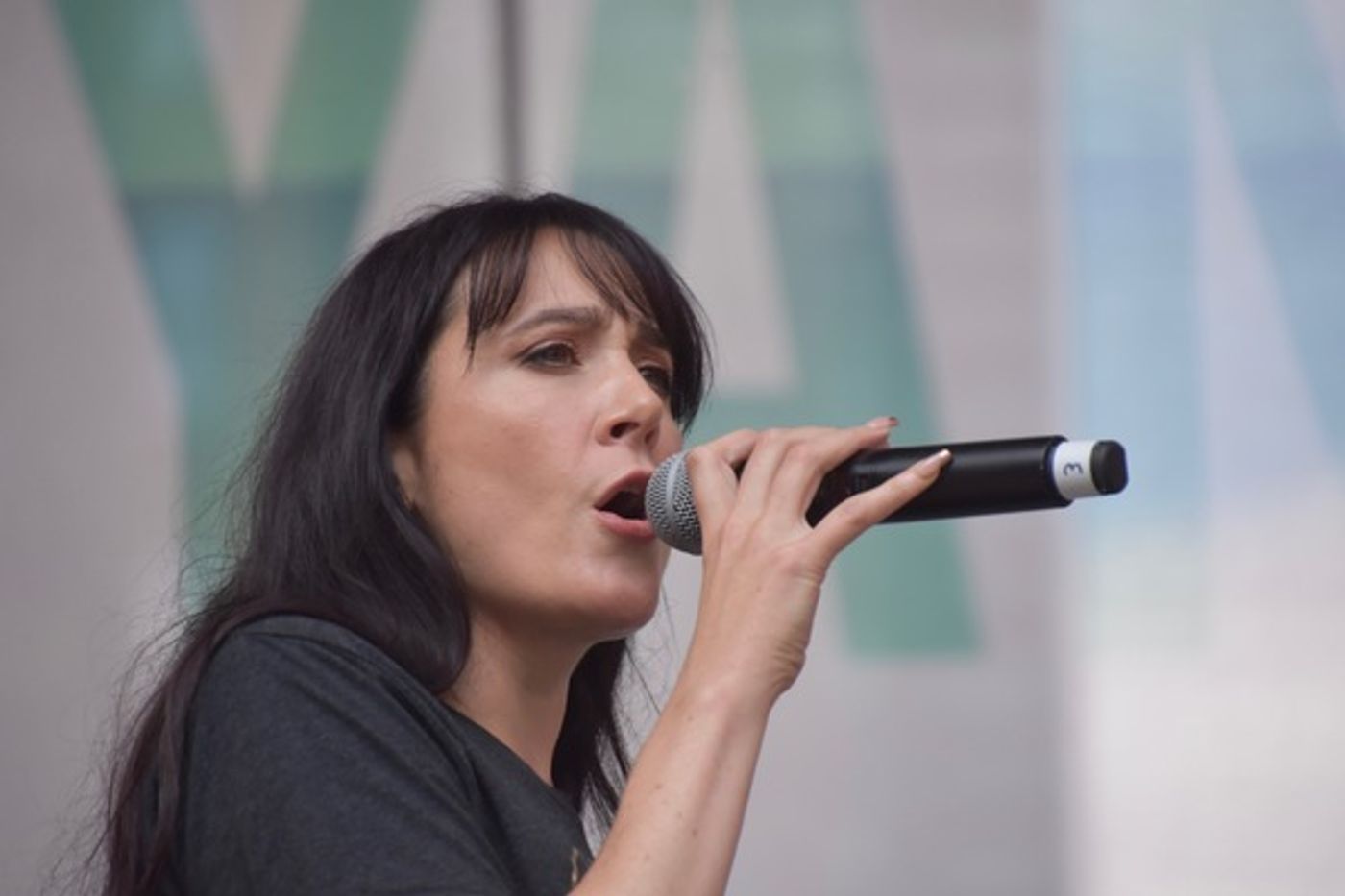 Photo Flash: THE PROM, THE CHER SHOW, BROADWAY BOUNTY HUNTER, And More Perform At Broadway in Bryant Park  Image