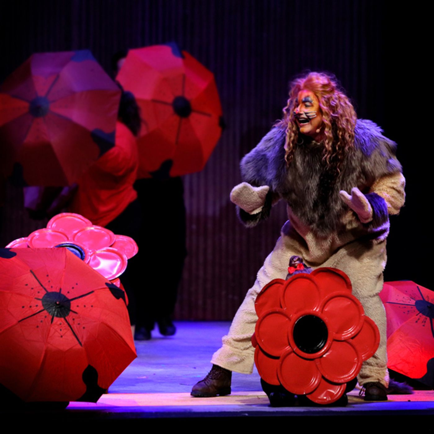 Photo Flash: THE WIZARD OF OZ At Theatre In The Park Photo Flash: THE WIZARD OF OZ At Theatre In The Park Image