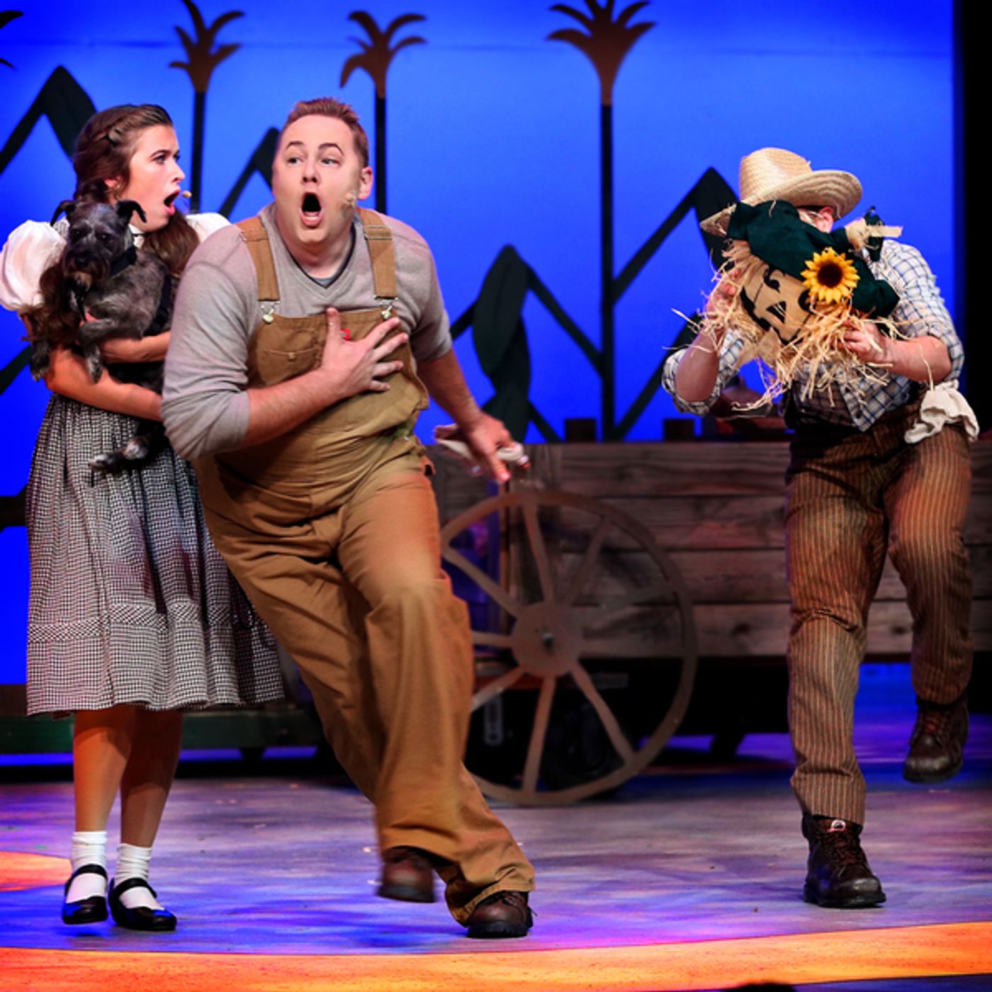 Photo Flash: THE WIZARD OF OZ At Theatre In The Park Photo Flash: THE WIZARD OF OZ At Theatre In The Park Image