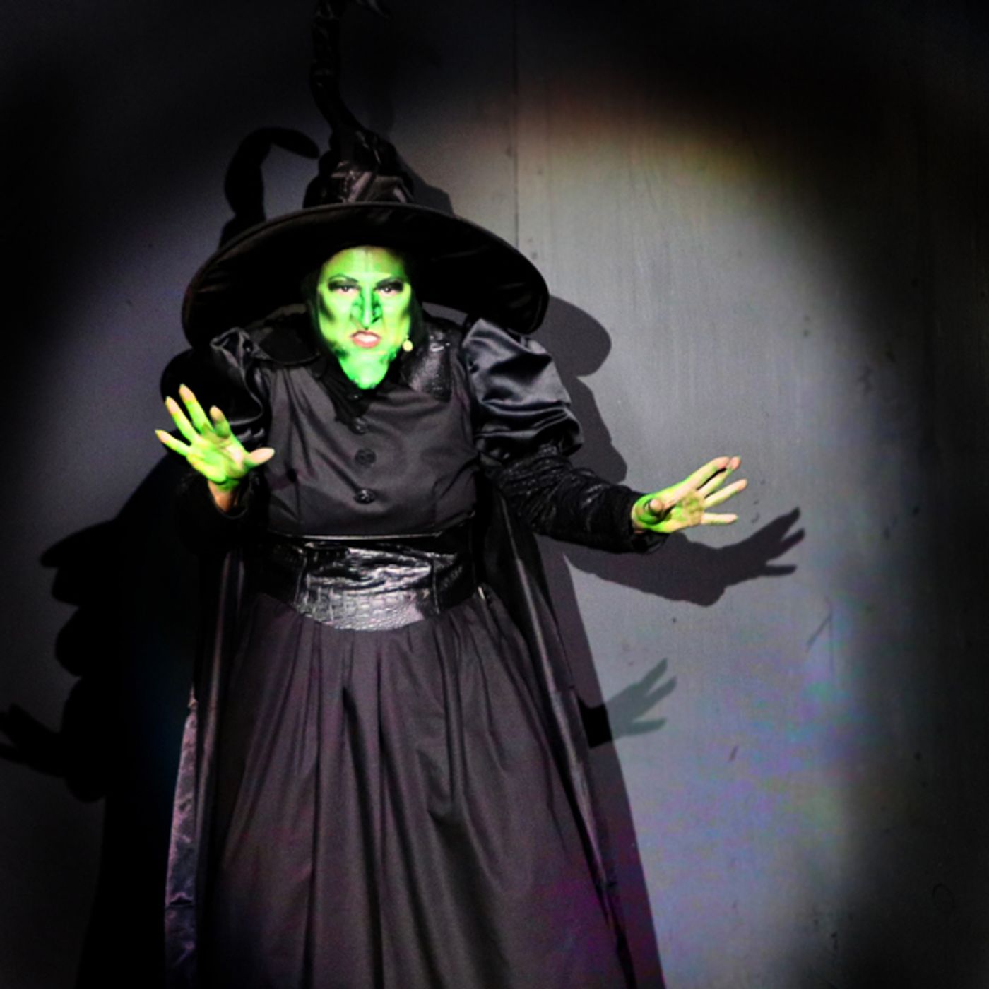 Photo Flash: THE WIZARD OF OZ At Theatre In The Park Photo Flash: THE WIZARD OF OZ At Theatre In The Park Image