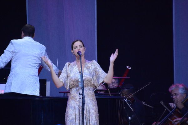 Steven Reineke and Sarah McLachlan Photo