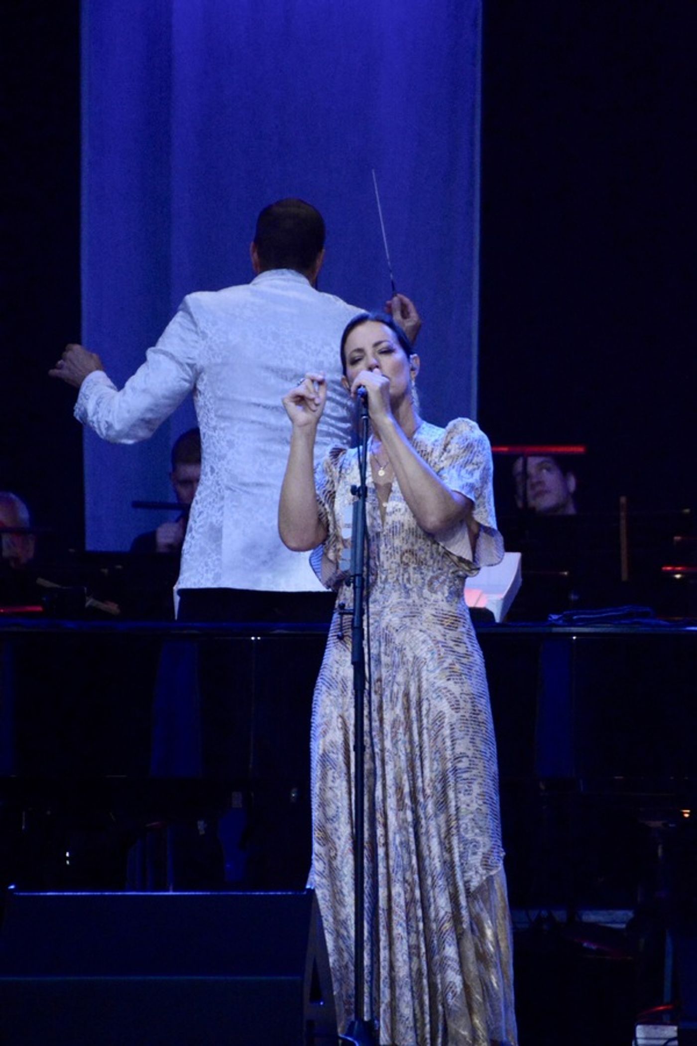 Photo Coverage: Sarah McLachlan Appears With Steven Reineke and the New York Pops at Forest Hills  Image