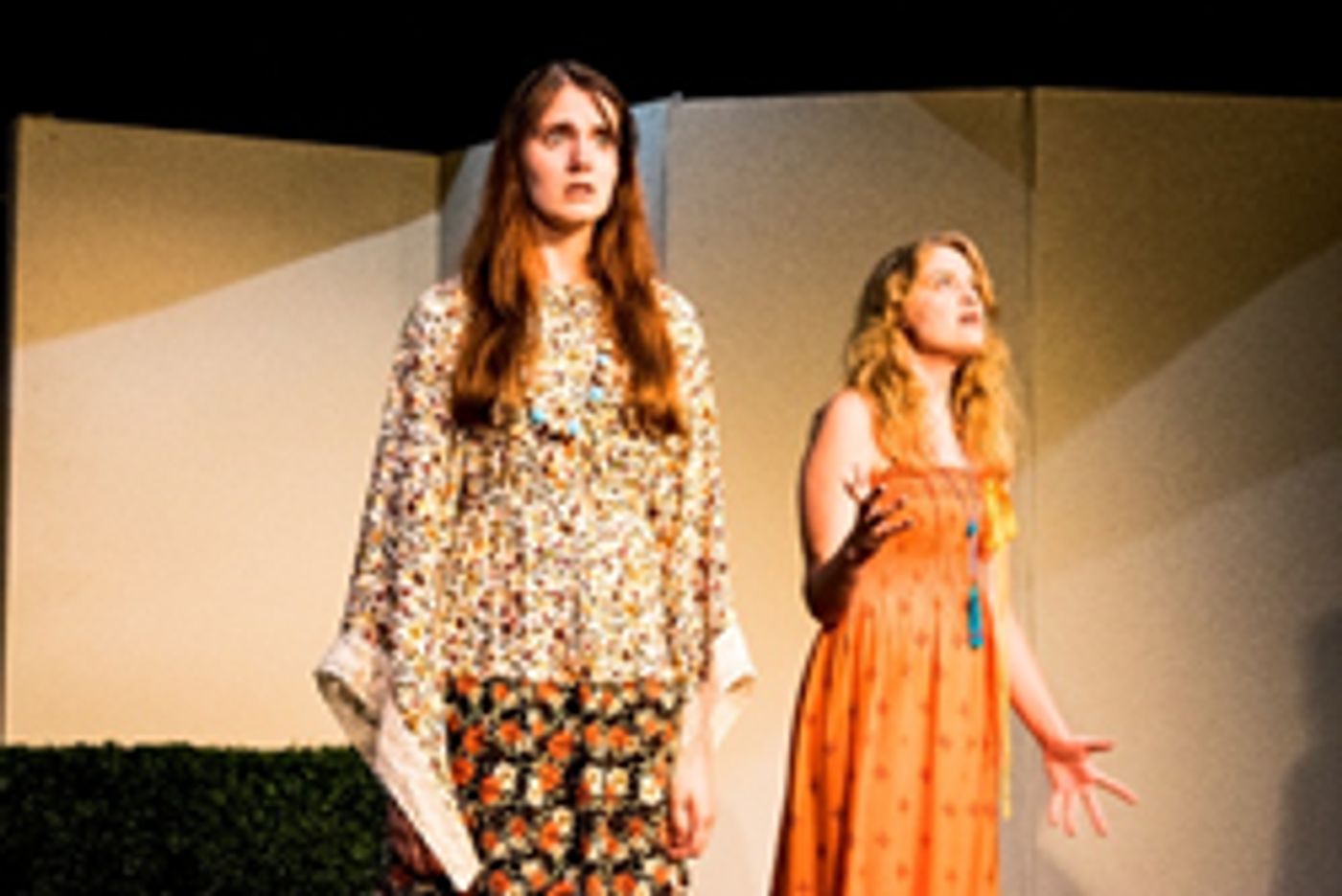 Review: A MIDSUMMER NIGHT'S DREAM at Ankeny Community Theatre: A Fun Trip Back In Time  Image