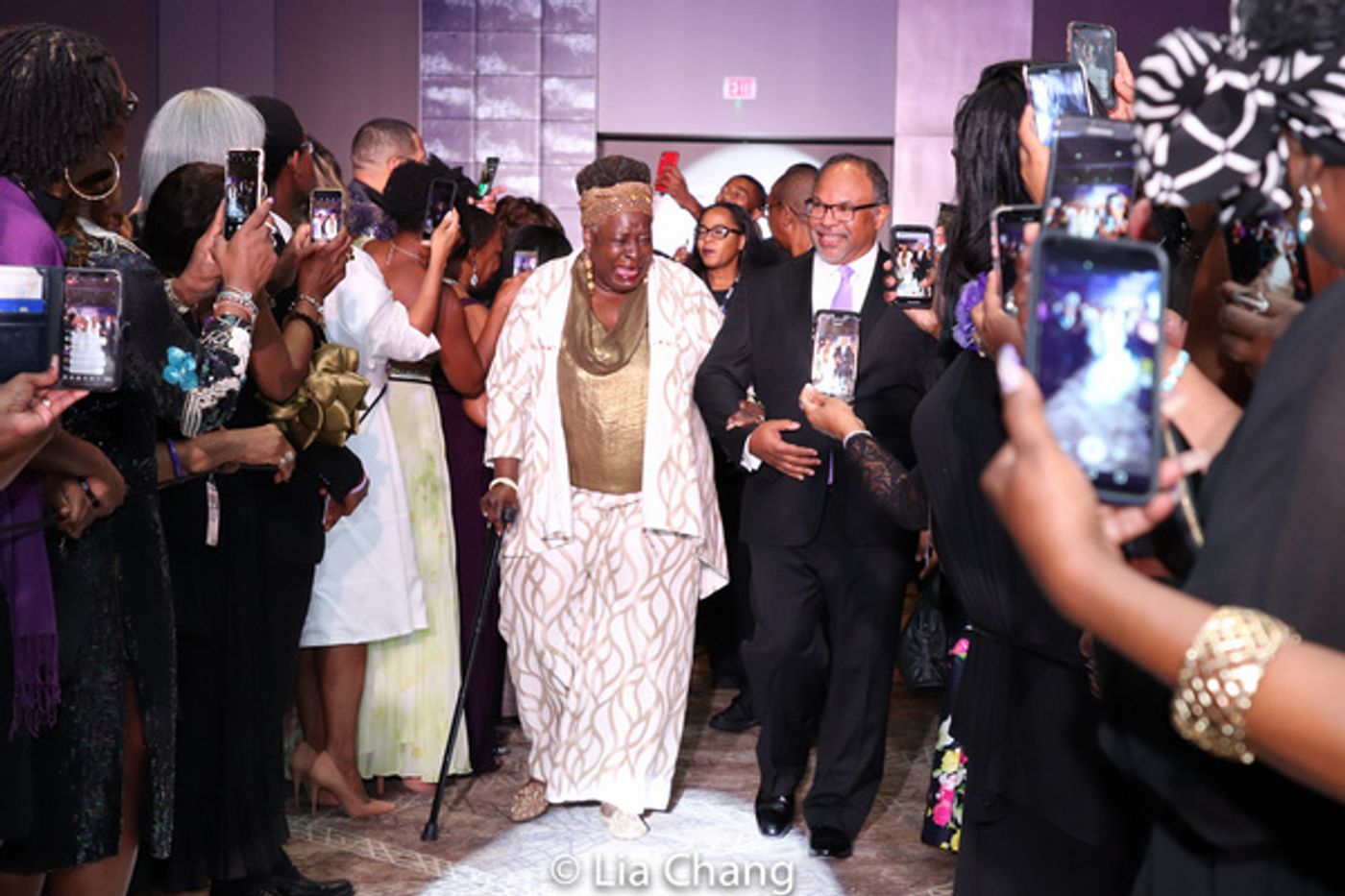 Photo Flash: All-Access Pass To The National Black Theatre Festival Gala With Andre De Shields Photo Flash: All-Access Pass To The National Black Theatre Festival Gala With Andre De Shields Image