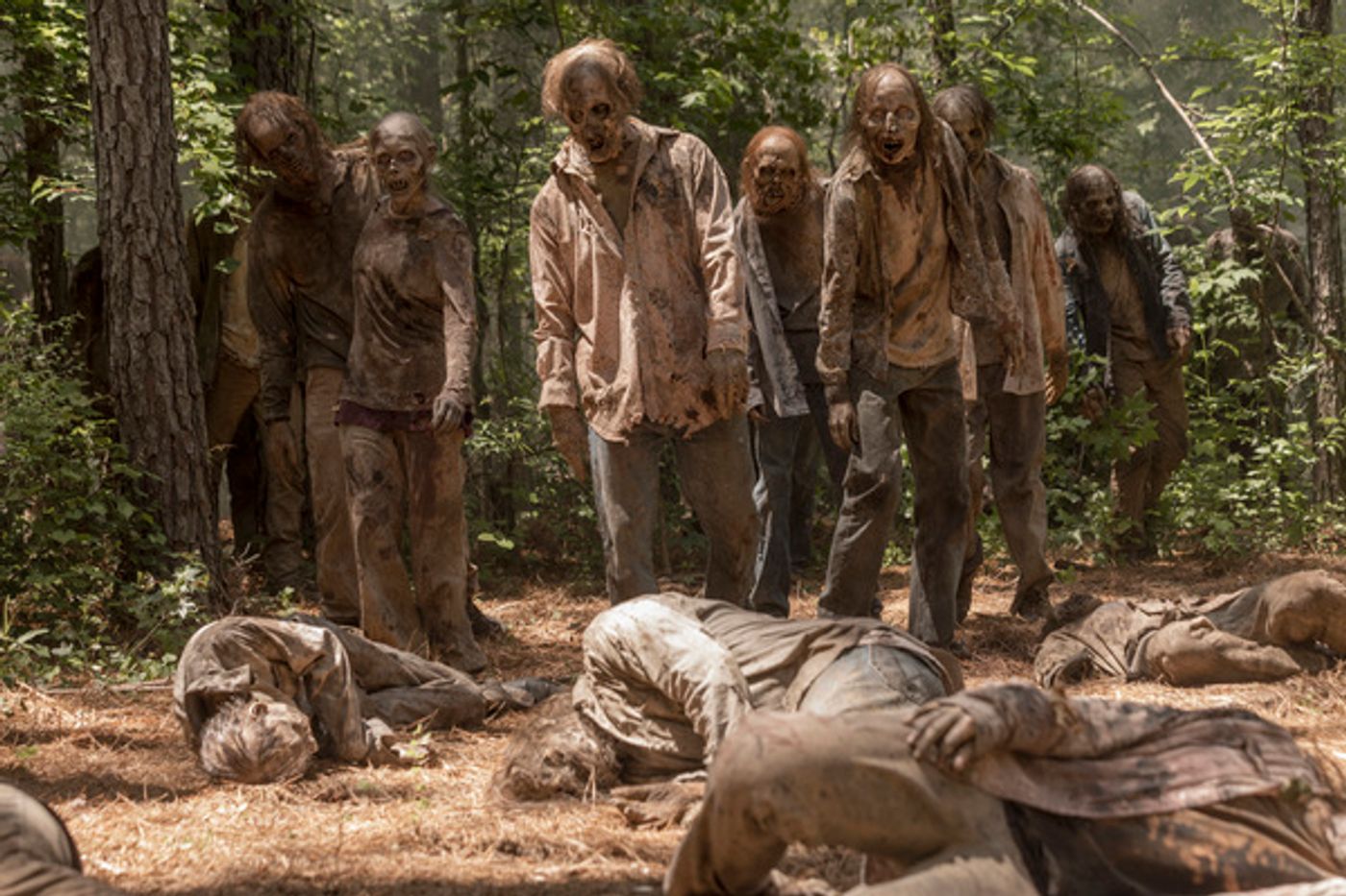 Photo Flash: See New First Look Images from THE WALKING DEAD Season 10  Image