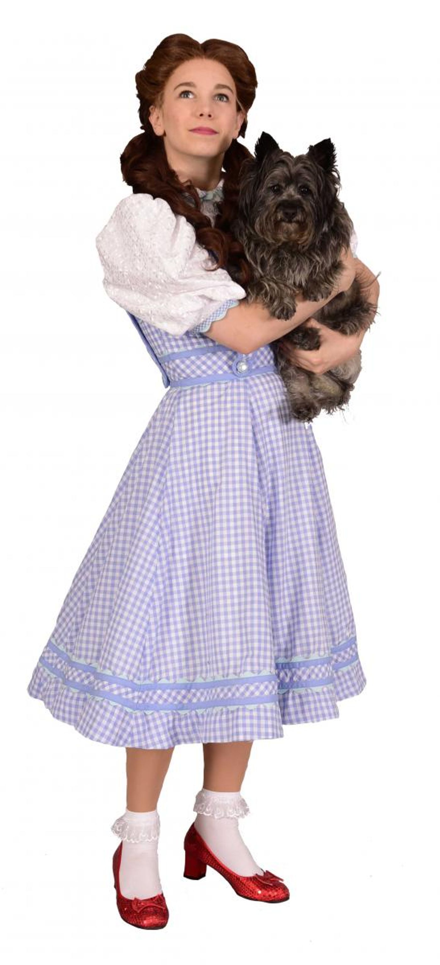 Review: The Magic of OZ; The Miracle of MSMT  Image