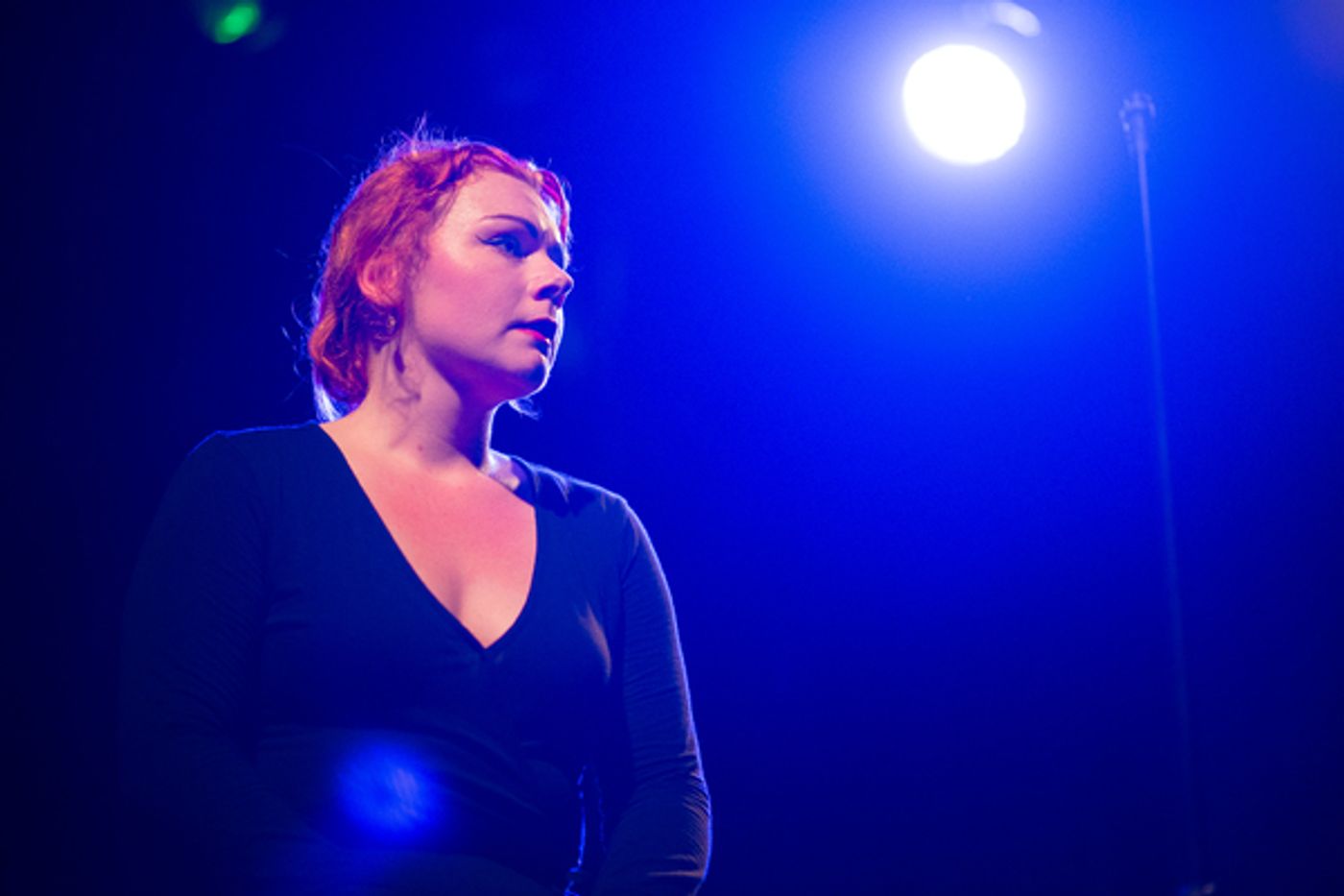 Photo Flash: Jerry Herman's SHOWTUNE at the Union Theatre  Image